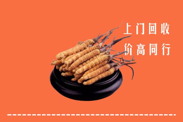 高价求购：宁波市回收散虫草