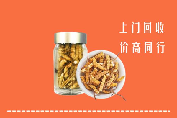 宁波市回收冬虫夏草