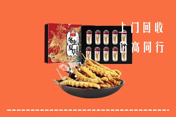 宁波市回收虫草